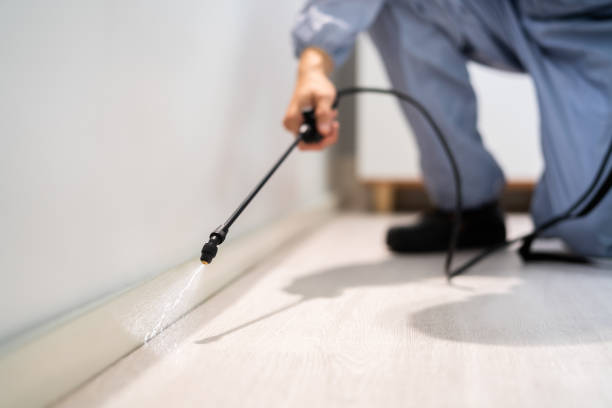 Bed Bug Pre-Treatment Preparation Assessment in Sterling City
