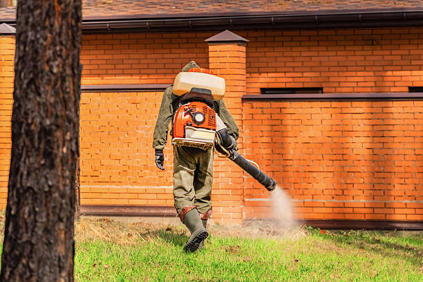 Bed Bug Clearance Verification and Documentation in Sterling City